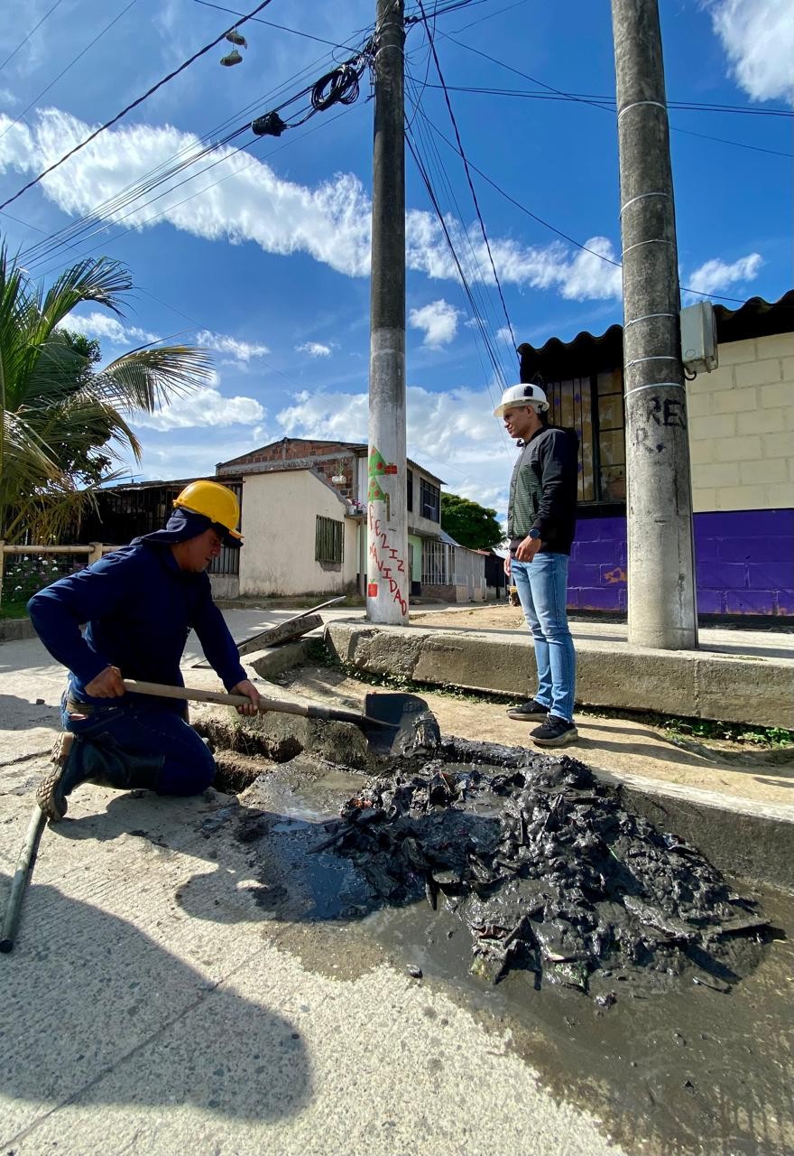 GUAYACANES