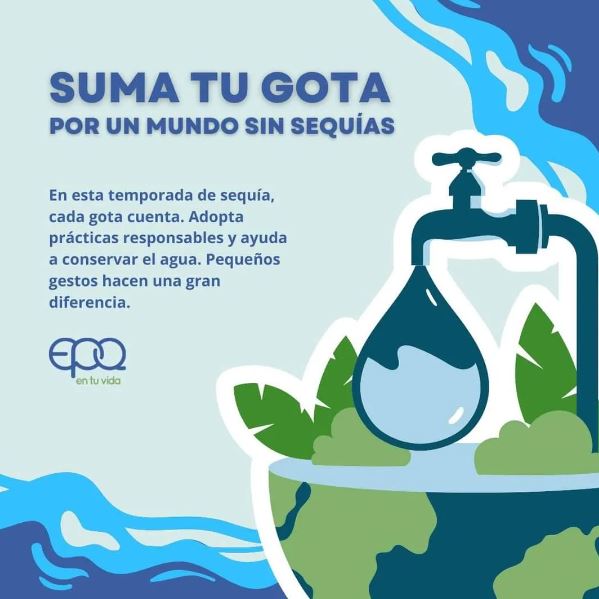 Imagen de WhatsApp 2024-01-10 a las 17.13.50 ec008b83