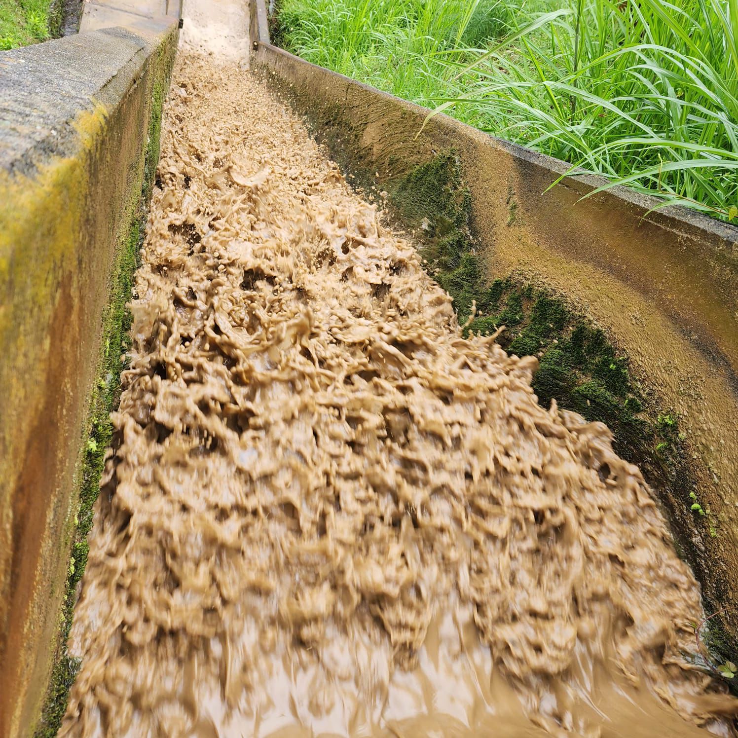 WhatsApp Image 2026-04-15 at 2.59.50 PM