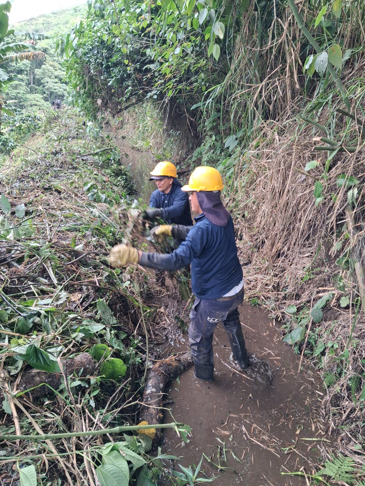 ACEQUIA MONTENEGRO 2