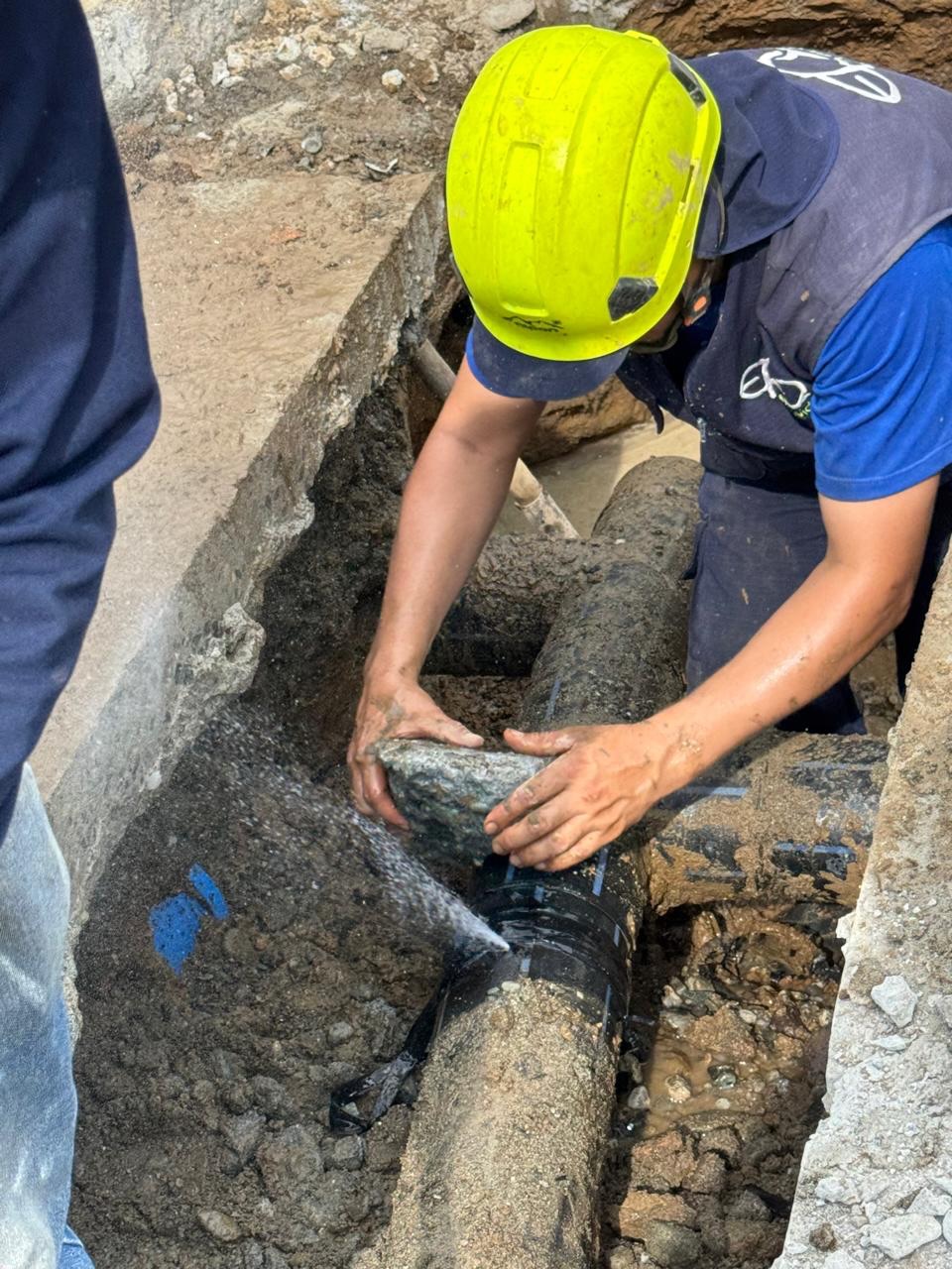 ARREGLO LA TEBAIDA 3