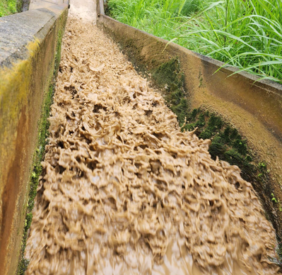 Captura de pantalla 2026-04-19 204904